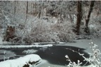 Ice Pond